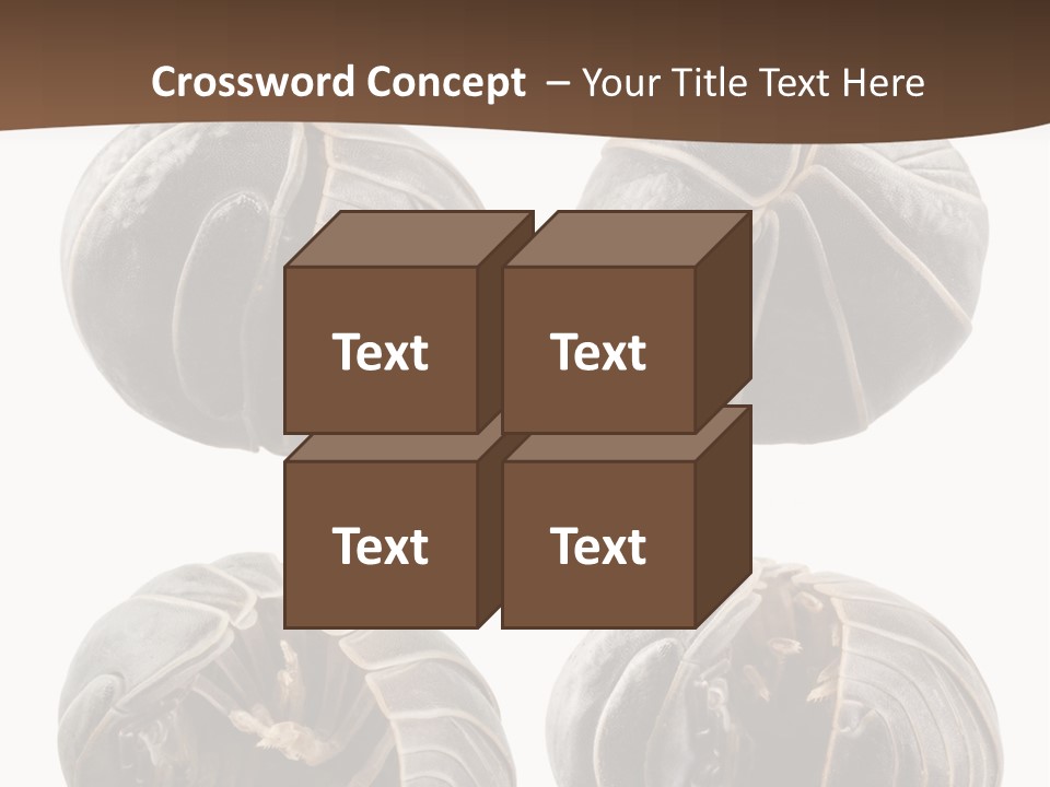 Face Armor Rolypoly PowerPoint Template