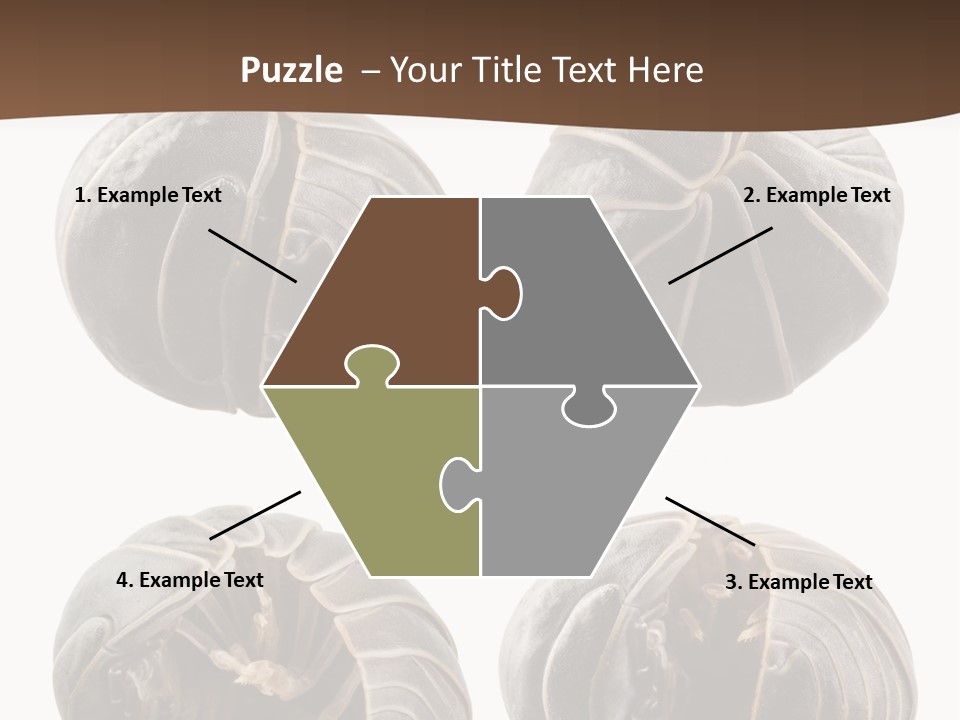 Face Armor Rolypoly PowerPoint Template