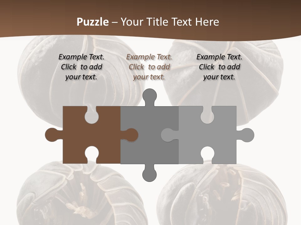 Face Armor Rolypoly PowerPoint Template