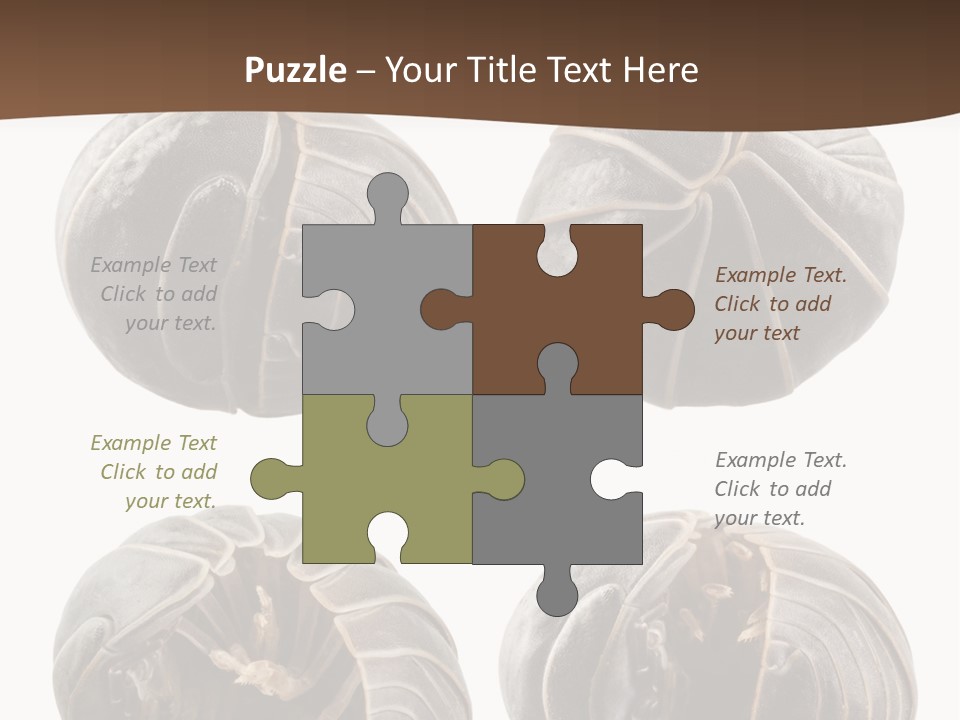 Face Armor Rolypoly PowerPoint Template