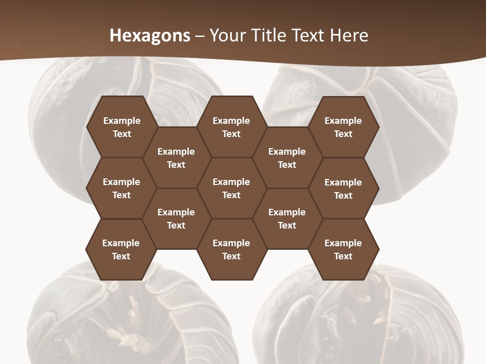 Face Armor Rolypoly PowerPoint Template