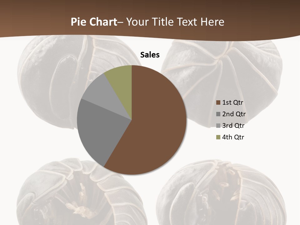 Face Armor Rolypoly PowerPoint Template