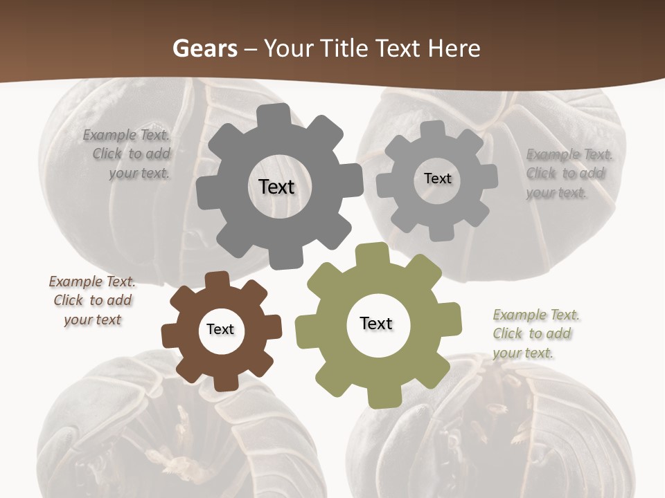 Face Armor Rolypoly PowerPoint Template