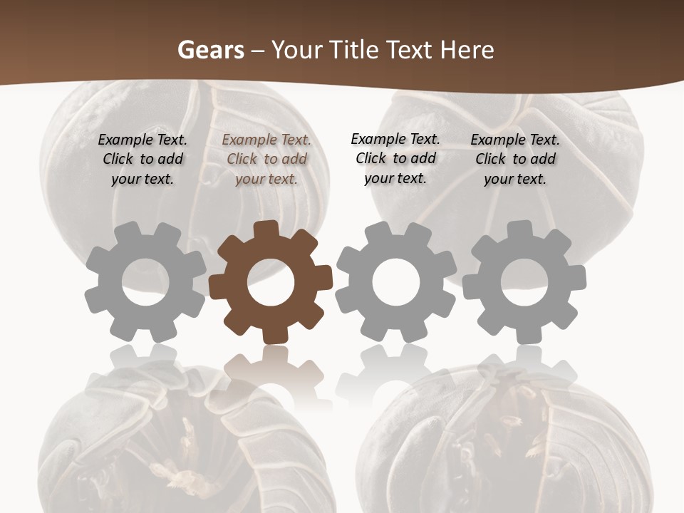 Face Armor Rolypoly PowerPoint Template