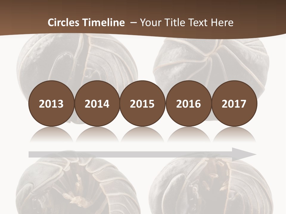 Face Armor Rolypoly PowerPoint Template