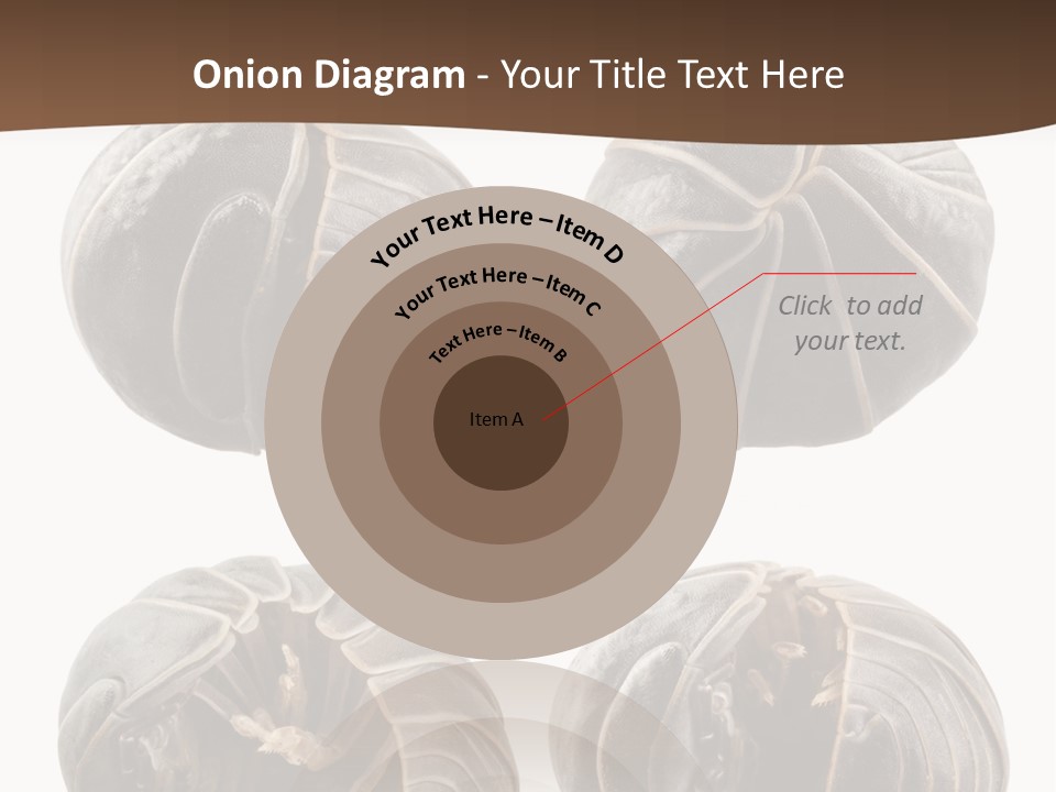Face Armor Rolypoly PowerPoint Template