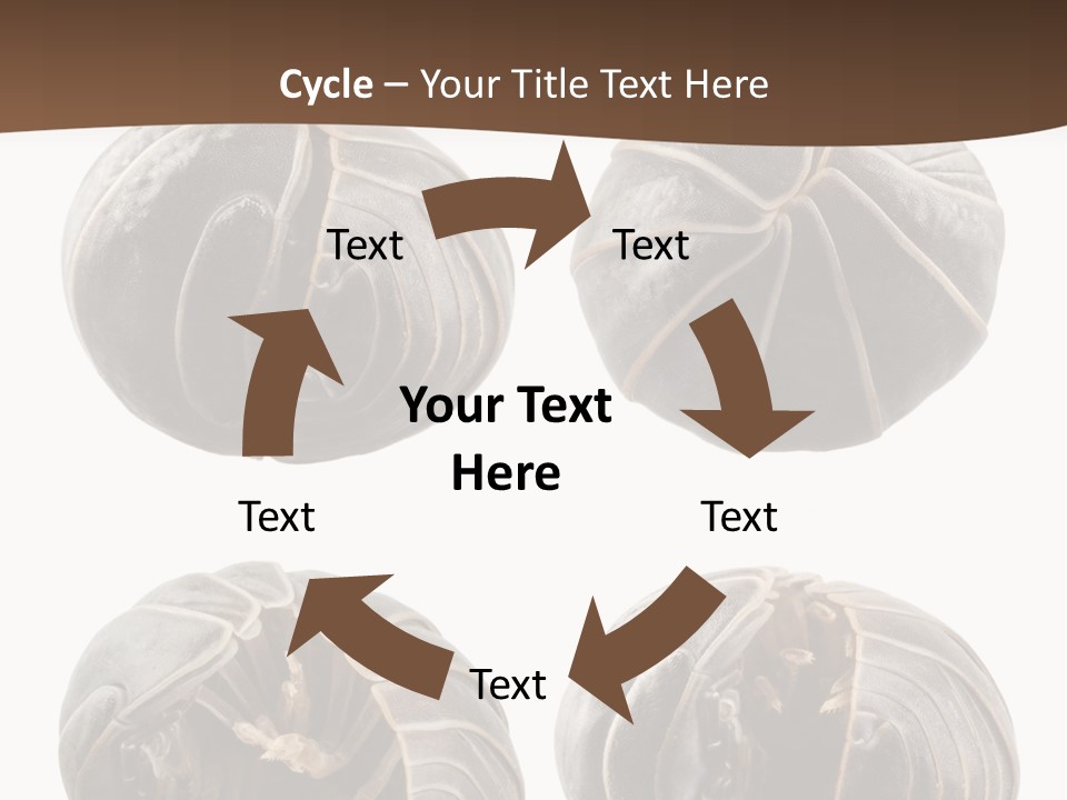 Face Armor Rolypoly PowerPoint Template
