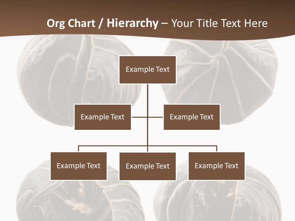 Face Armor Rolypoly PowerPoint Template