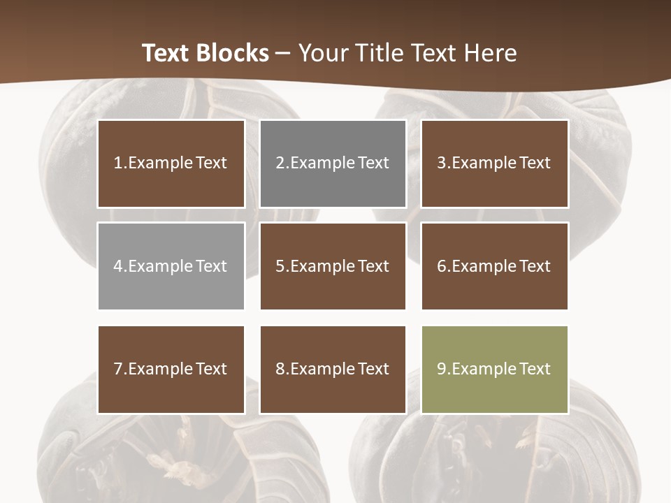 Face Armor Rolypoly PowerPoint Template