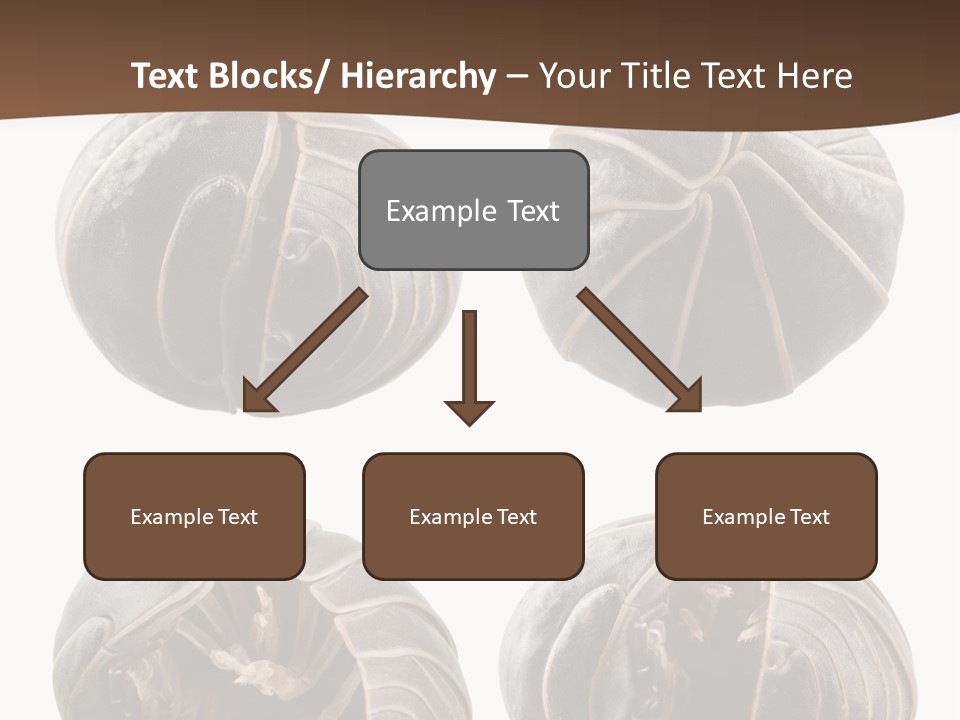 Face Armor Rolypoly PowerPoint Template