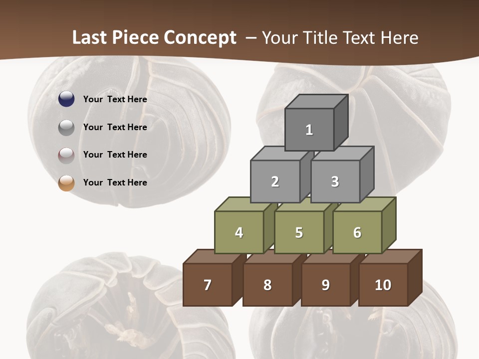 Face Armor Rolypoly PowerPoint Template