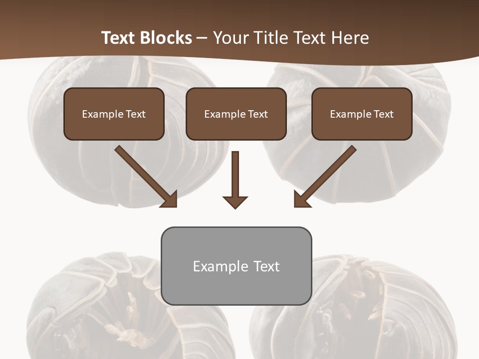 Face Armor Rolypoly PowerPoint Template