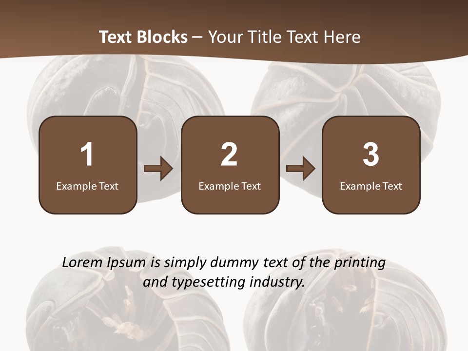 Face Armor Rolypoly PowerPoint Template