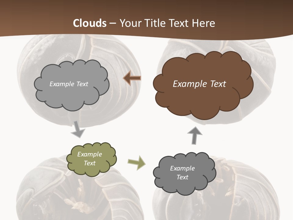 Face Armor Rolypoly PowerPoint Template