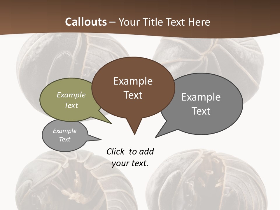 Face Armor Rolypoly PowerPoint Template