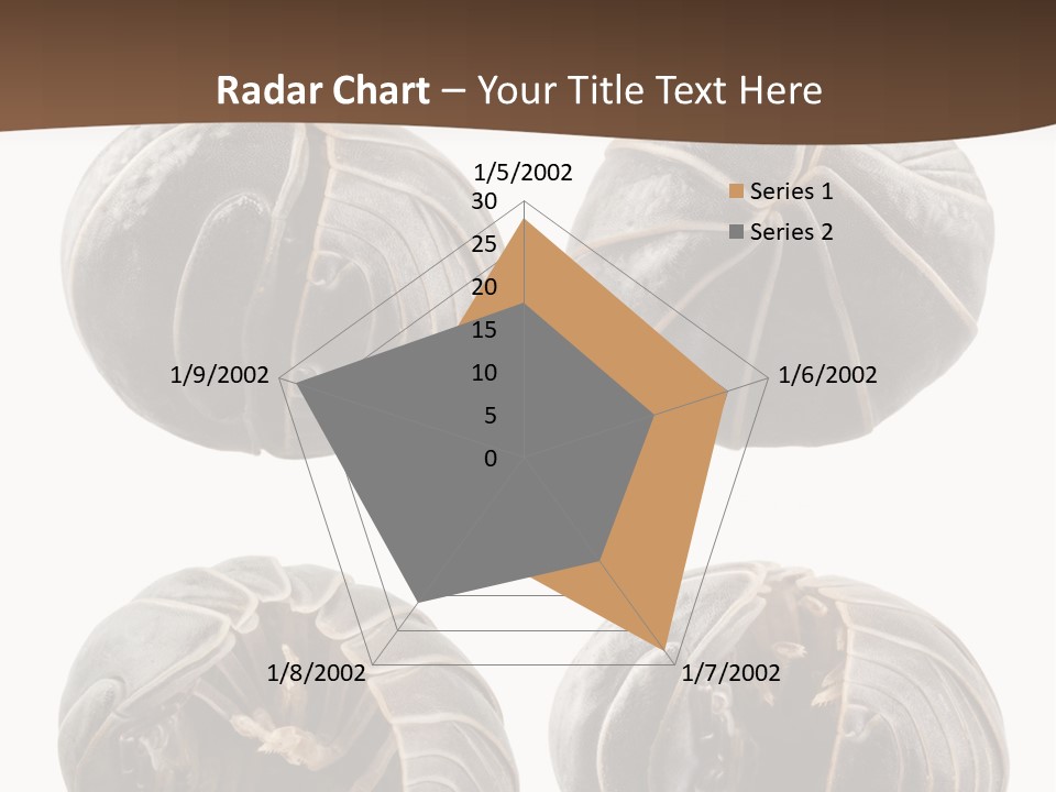Face Armor Rolypoly PowerPoint Template