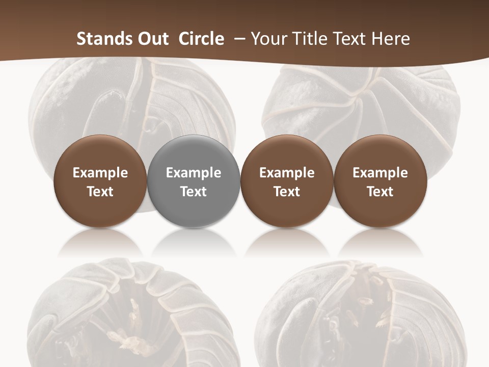 Face Armor Rolypoly PowerPoint Template