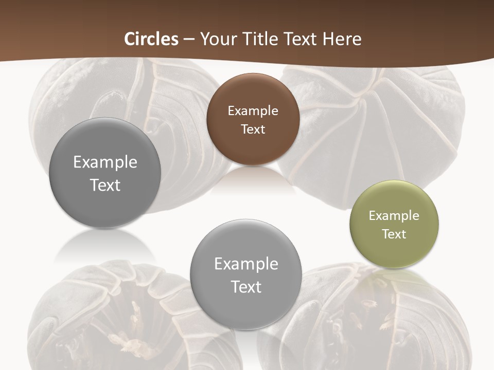 Face Armor Rolypoly PowerPoint Template
