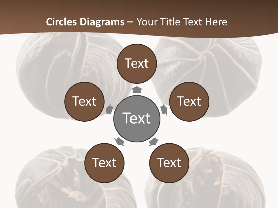 Face Armor Rolypoly PowerPoint Template