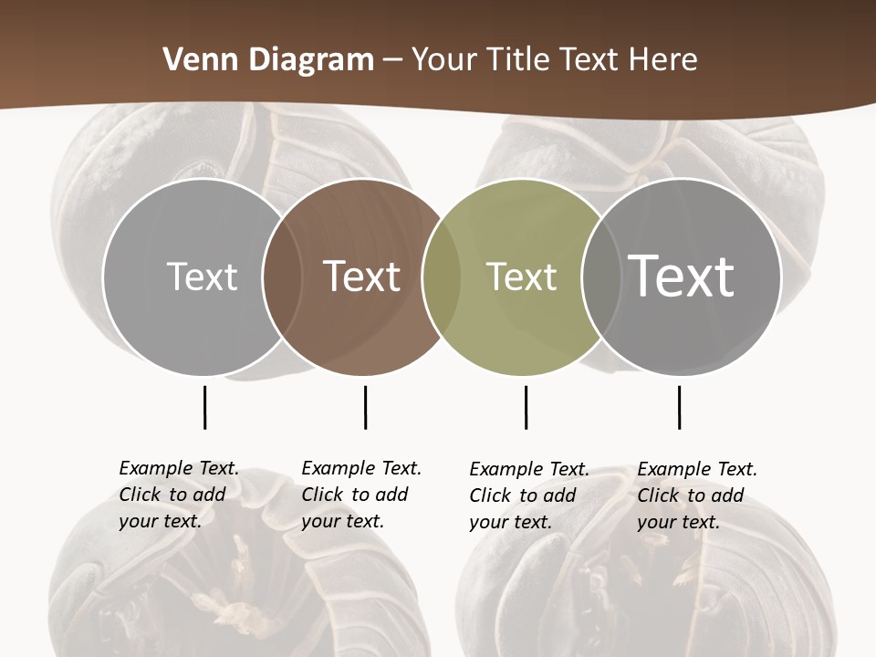 Face Armor Rolypoly PowerPoint Template