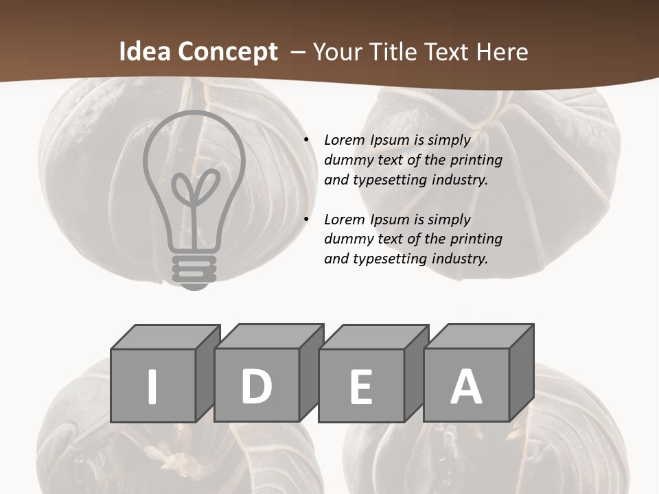 Face Armor Rolypoly PowerPoint Template