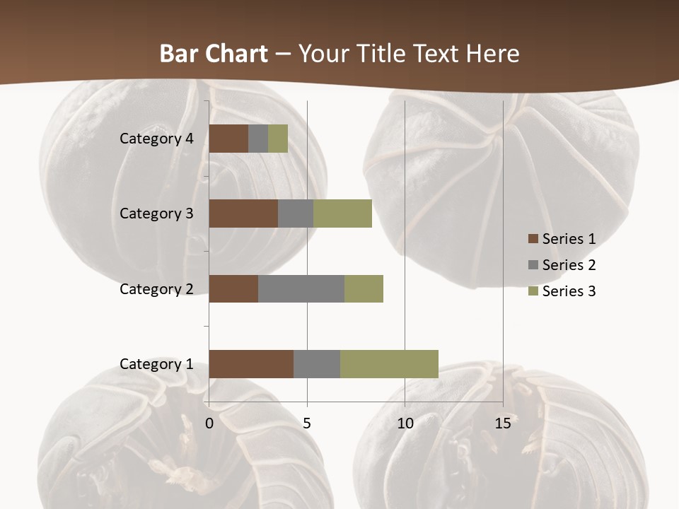 Face Armor Rolypoly PowerPoint Template