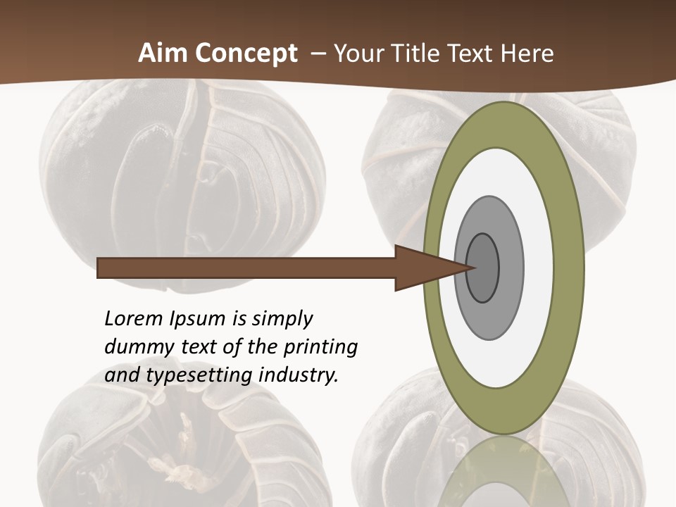 Face Armor Rolypoly PowerPoint Template