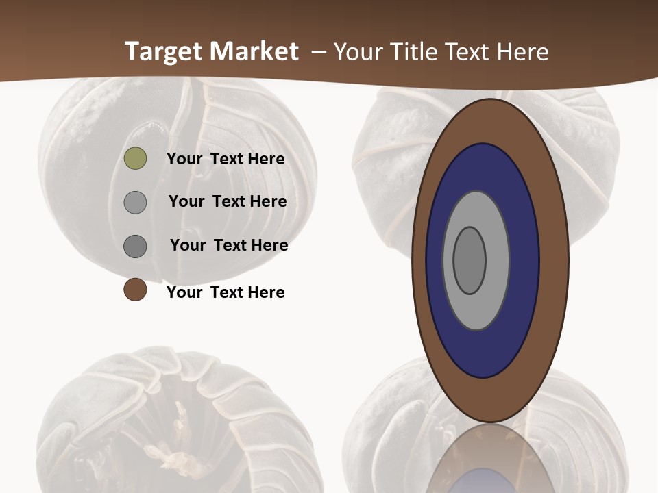 Face Armor Rolypoly PowerPoint Template