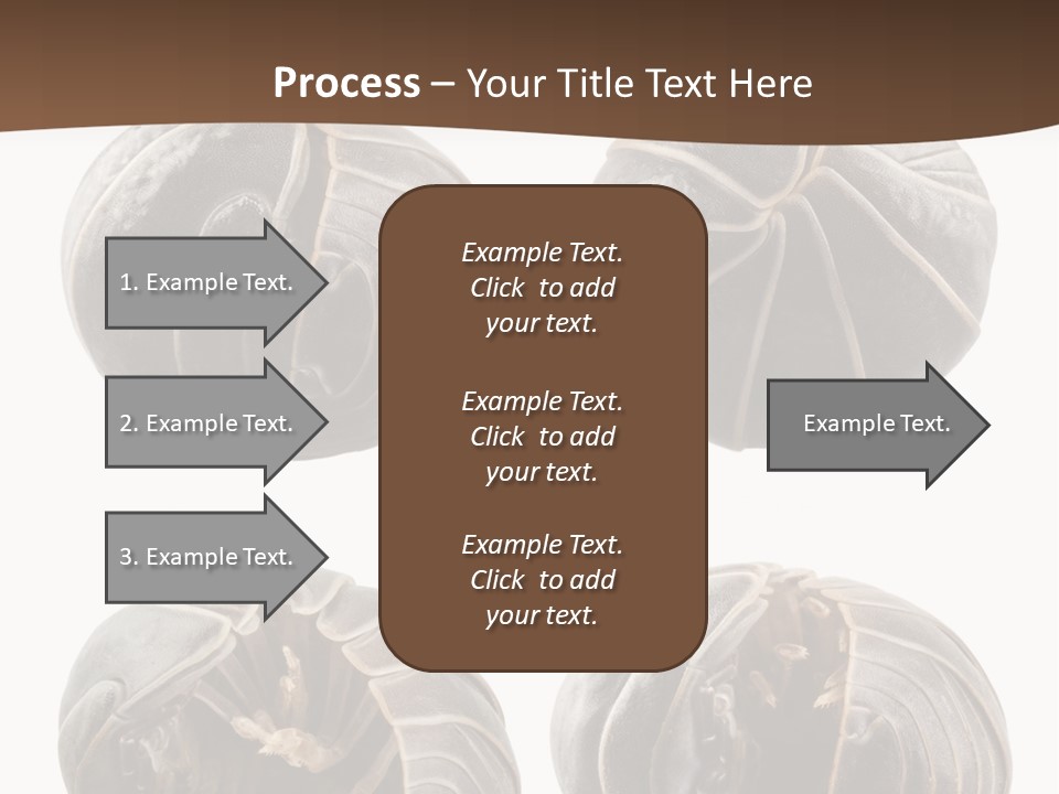 Face Armor Rolypoly PowerPoint Template