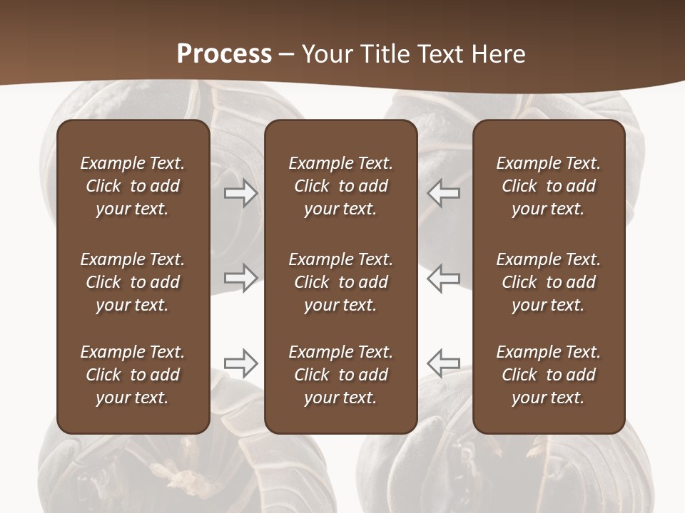 Face Armor Rolypoly PowerPoint Template
