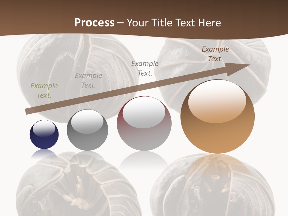 Face Armor Rolypoly PowerPoint Template