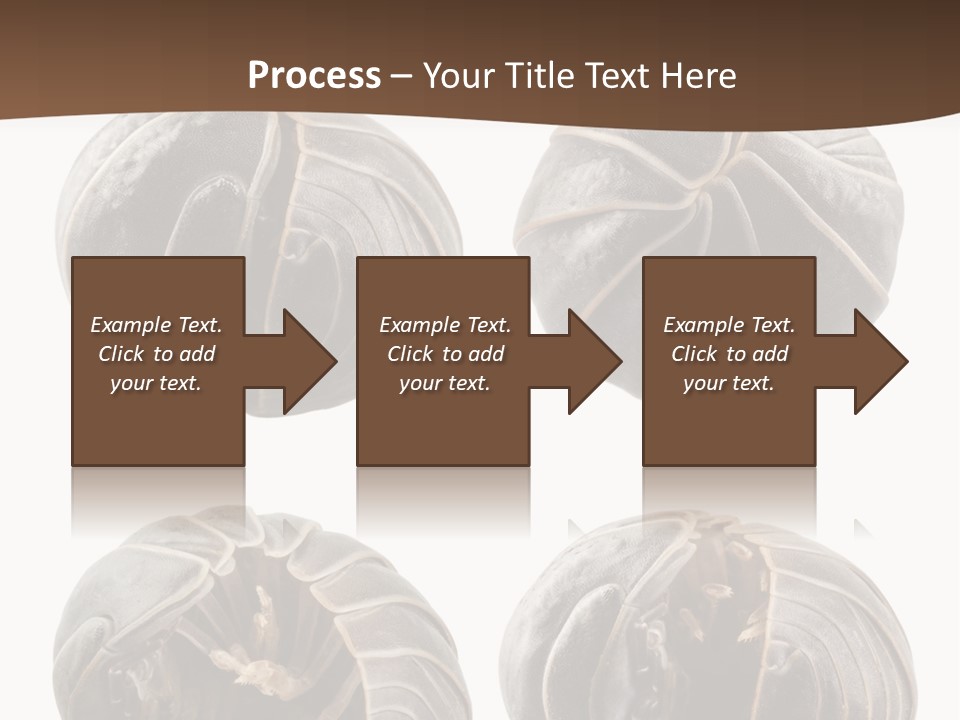 Face Armor Rolypoly PowerPoint Template