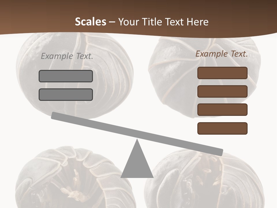 Face Armor Rolypoly PowerPoint Template