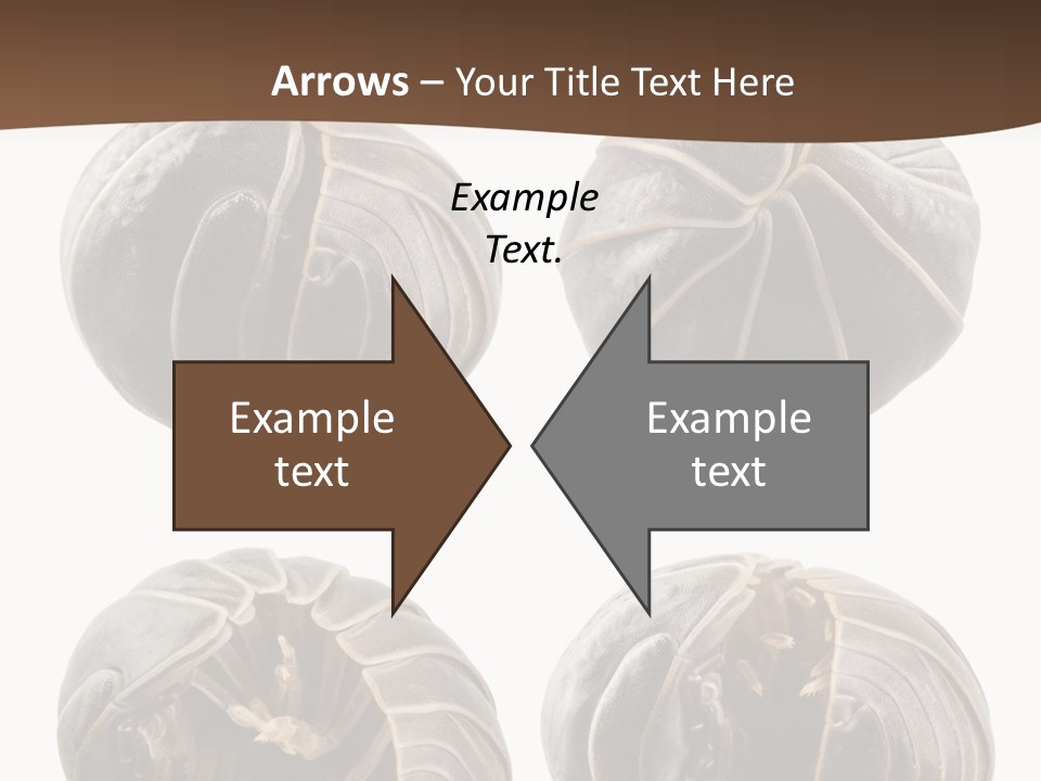 Face Armor Rolypoly PowerPoint Template
