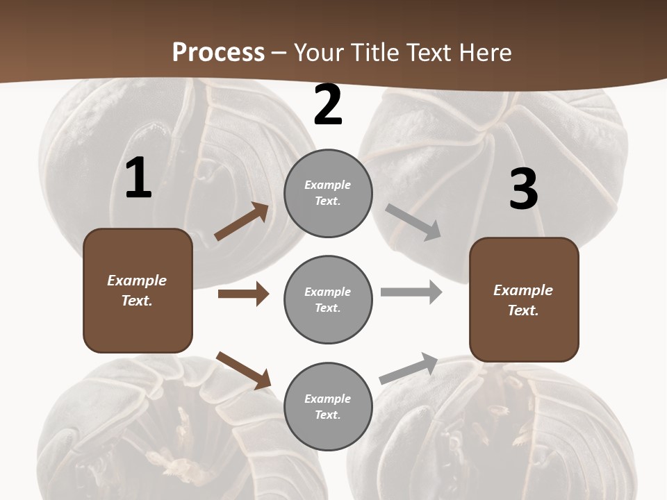 Face Armor Rolypoly PowerPoint Template