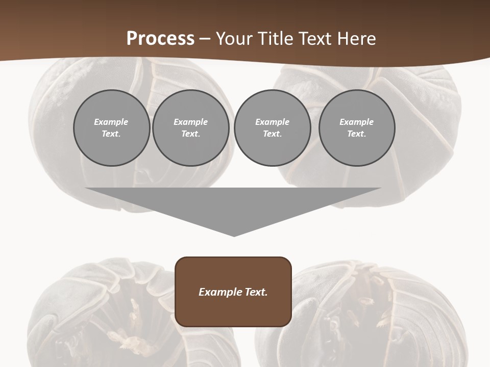 Face Armor Rolypoly PowerPoint Template