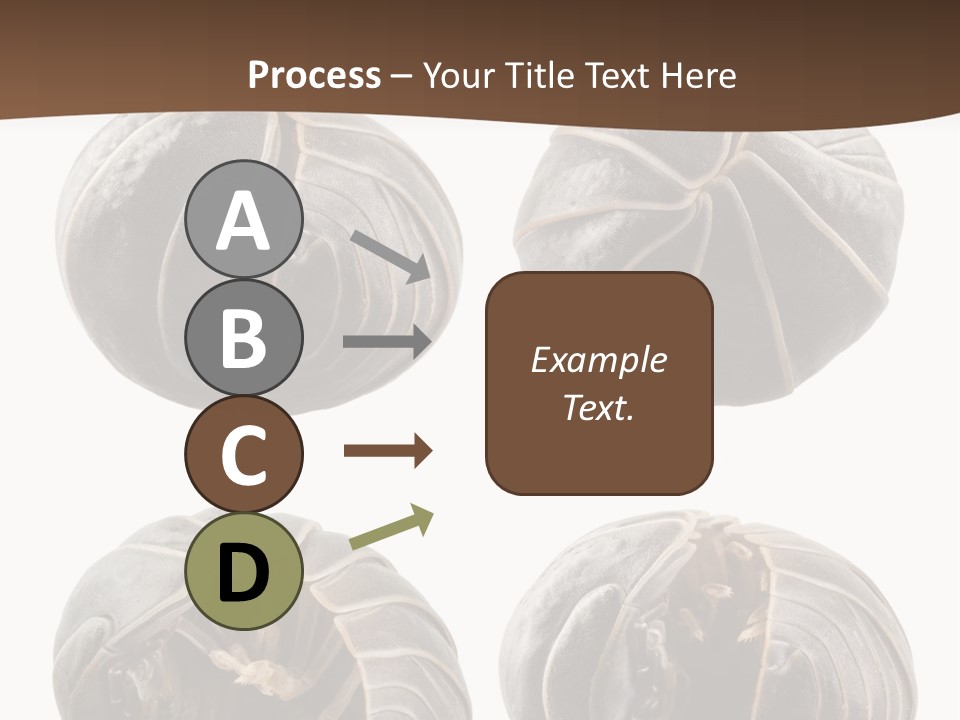 Face Armor Rolypoly PowerPoint Template