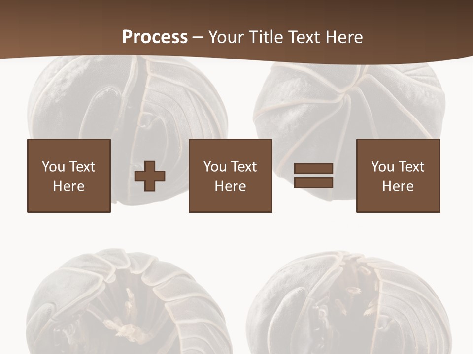 Face Armor Rolypoly PowerPoint Template