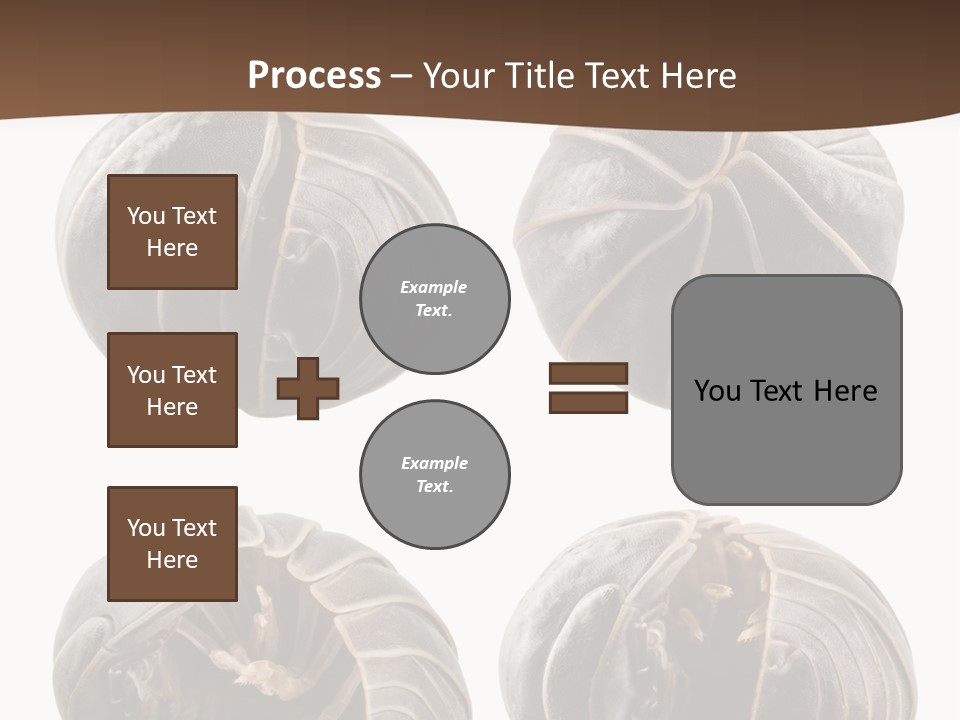 Face Armor Rolypoly PowerPoint Template