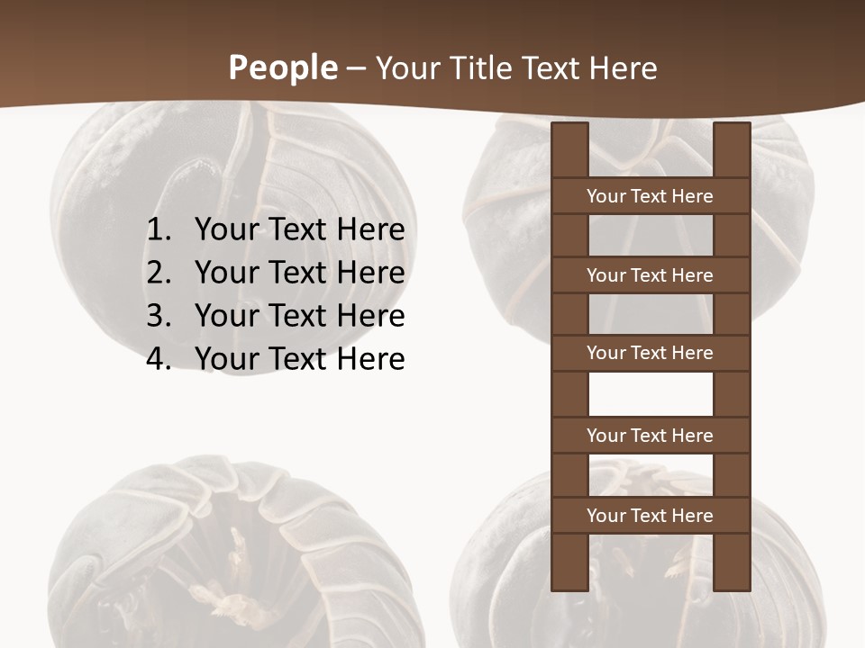 Face Armor Rolypoly PowerPoint Template