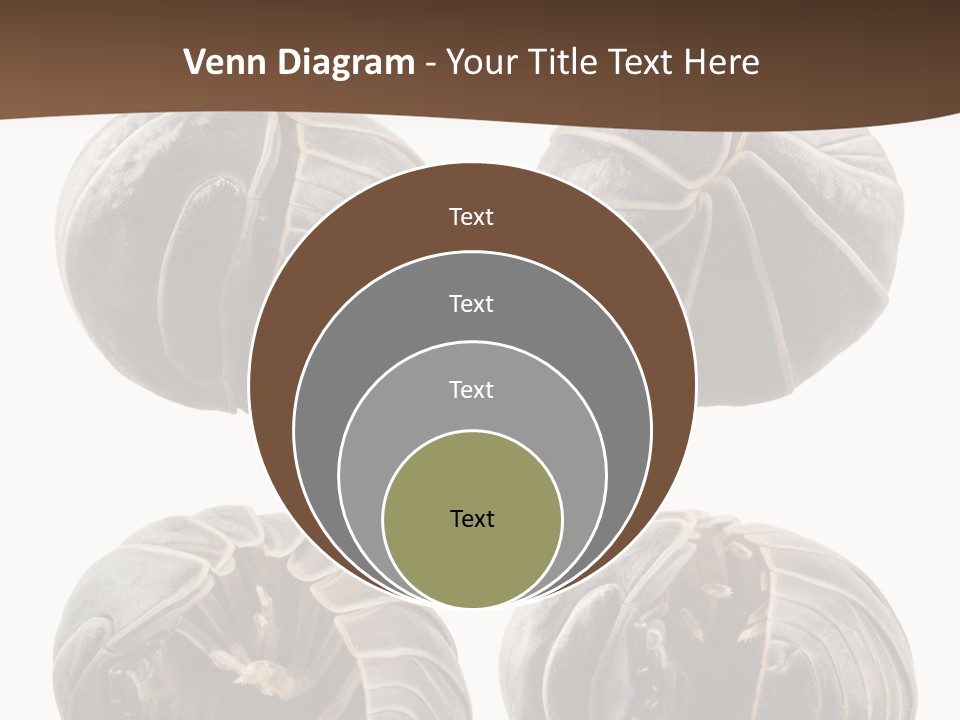 Face Armor Rolypoly PowerPoint Template