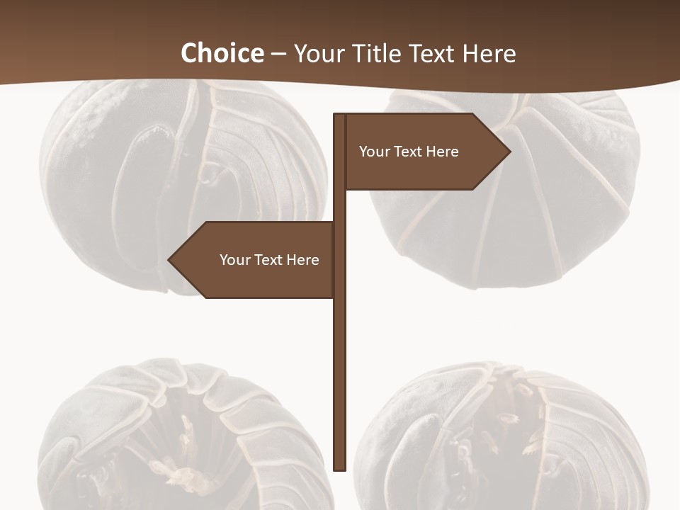 Face Armor Rolypoly PowerPoint Template
