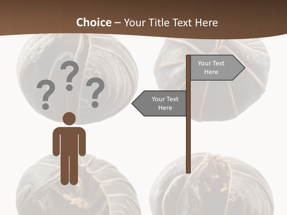 Face Armor Rolypoly PowerPoint Template