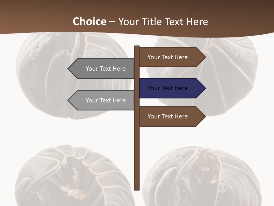 Face Armor Rolypoly PowerPoint Template
