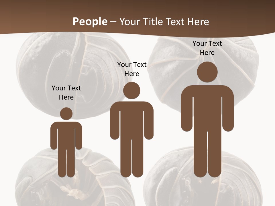 Face Armor Rolypoly PowerPoint Template