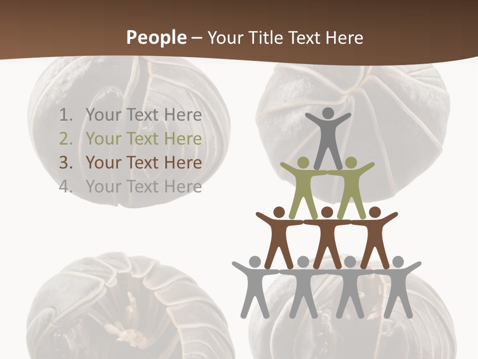 Face Armor Rolypoly PowerPoint Template