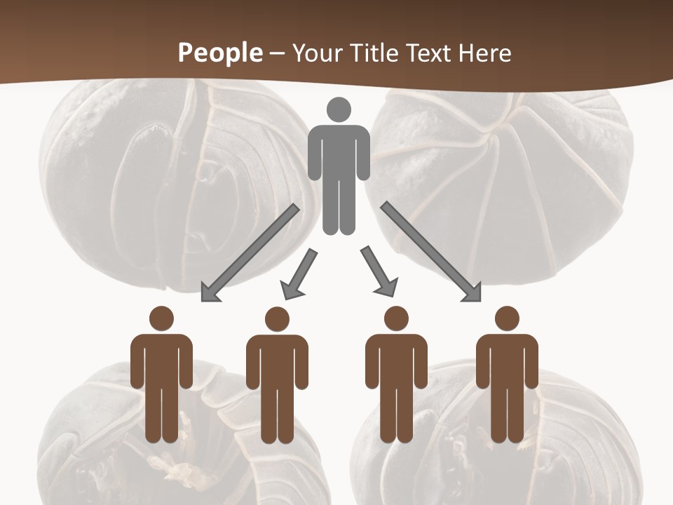 Face Armor Rolypoly PowerPoint Template