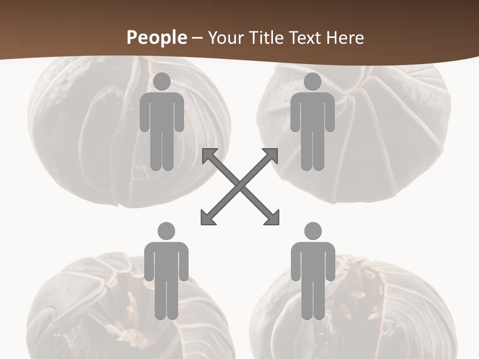 Face Armor Rolypoly PowerPoint Template