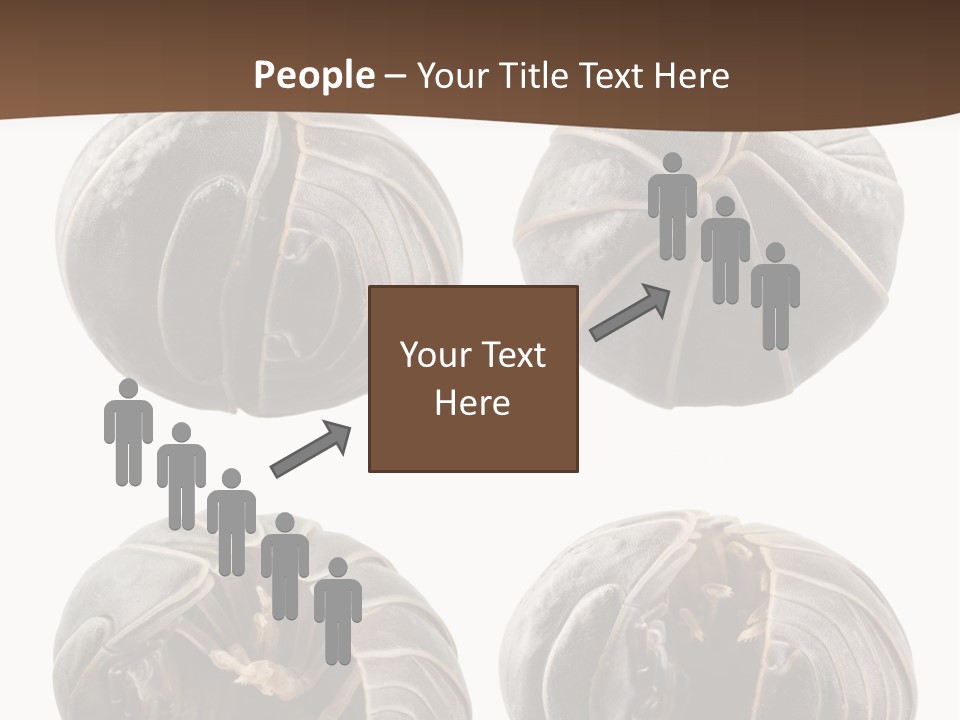 Face Armor Rolypoly PowerPoint Template