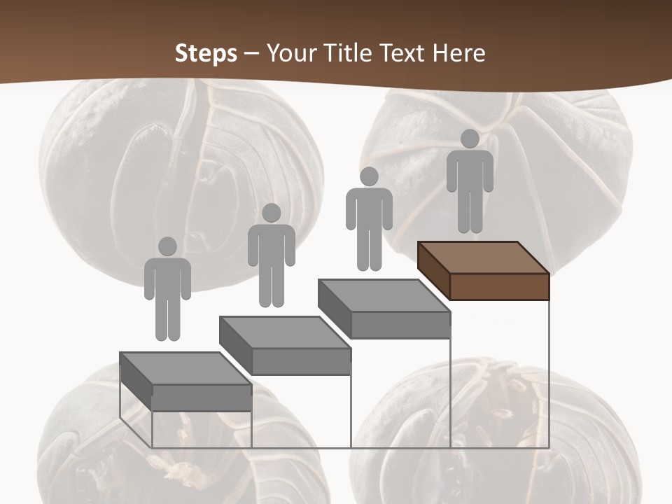 Face Armor Rolypoly PowerPoint Template